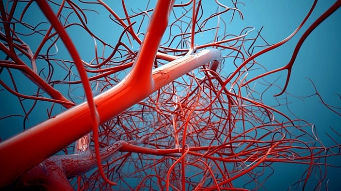 mesothelioma fluid in lungs