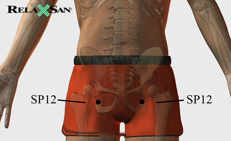 Điểm bấm huyệt chữa giãn tĩnh mạch SP-12 nằm ở trung tâm nếp gấp nơi đùi tiếp xúc với thân